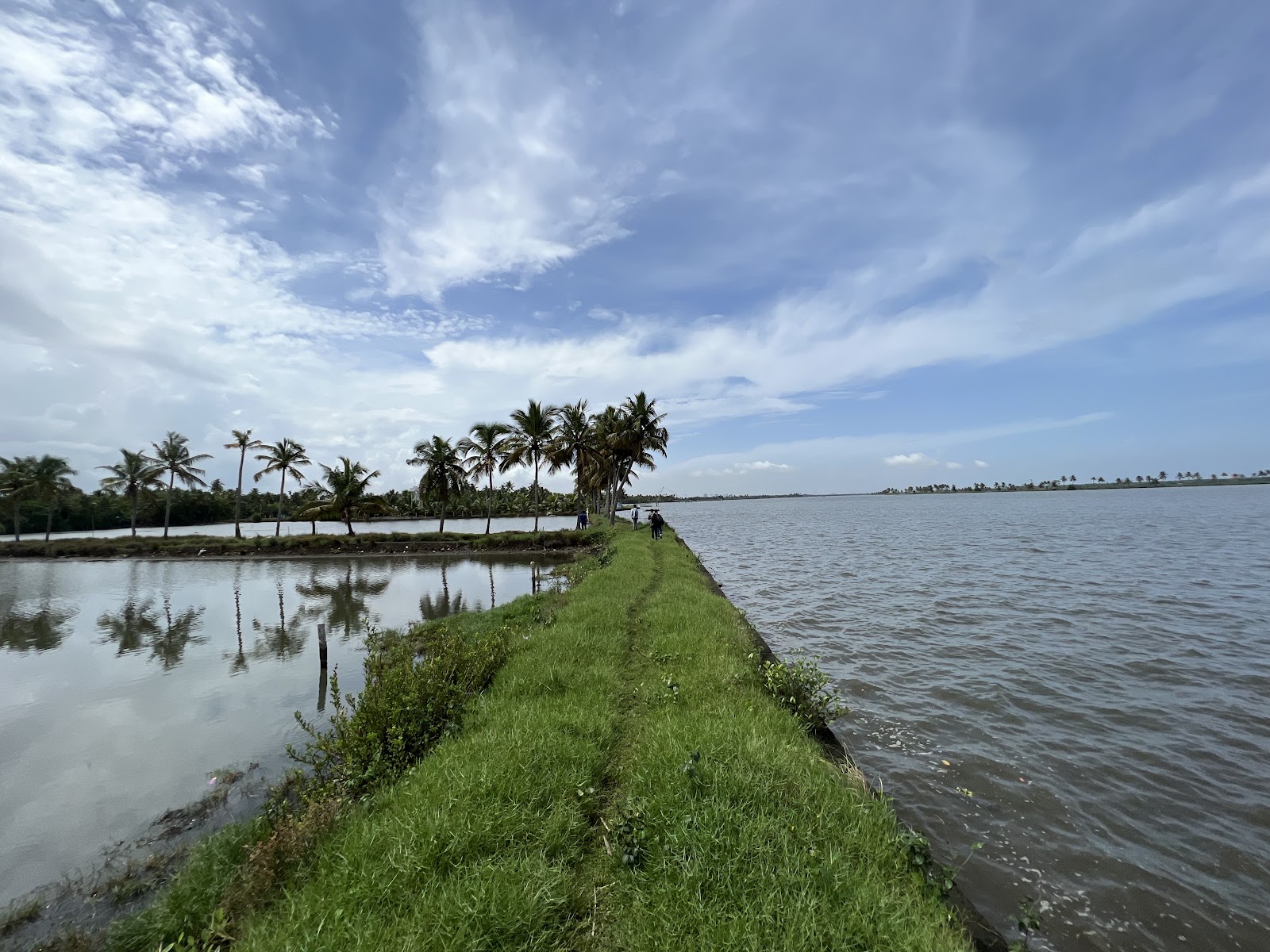 Veeranpuzha Backwaters
