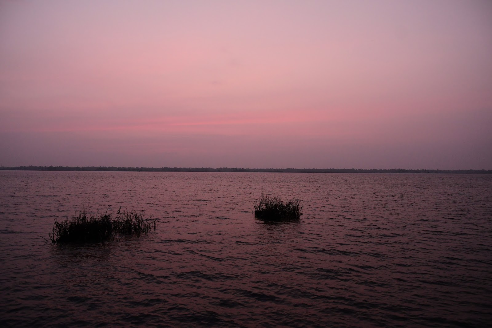 Veeranpuzha Backwaters