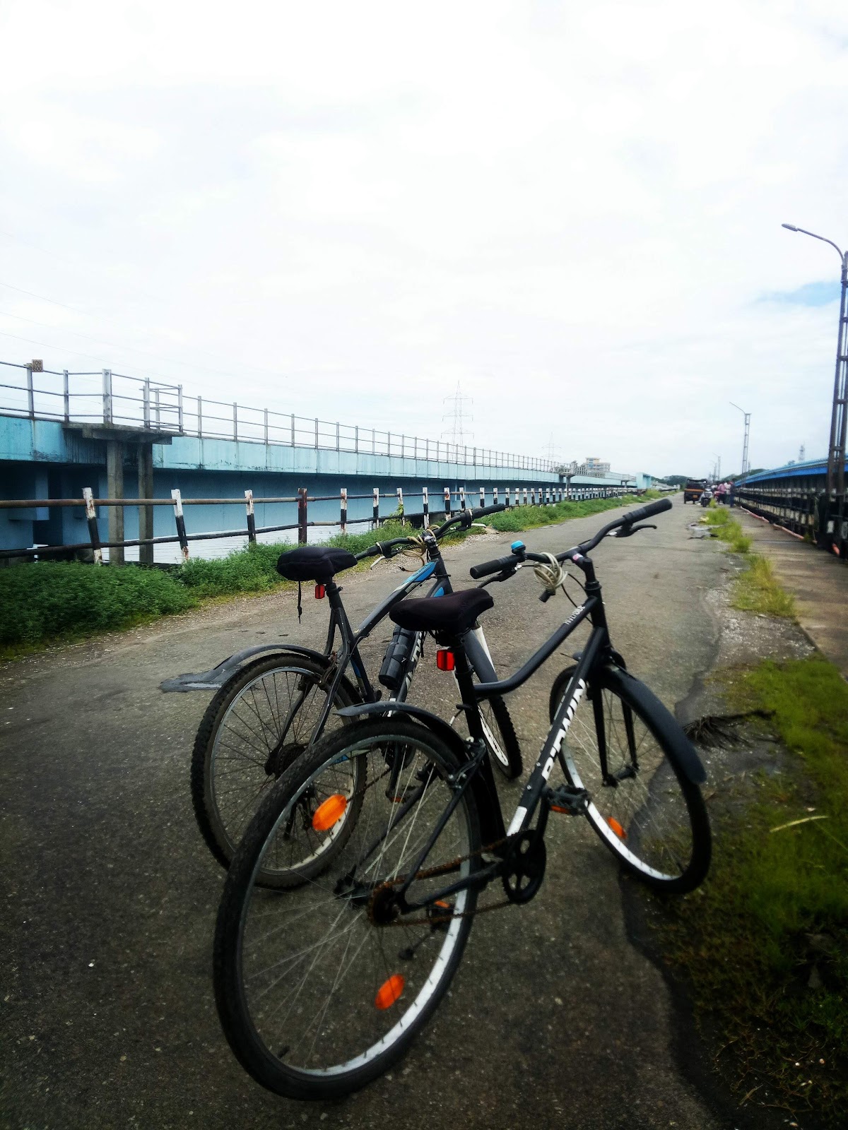 Venduruthy Island Walk