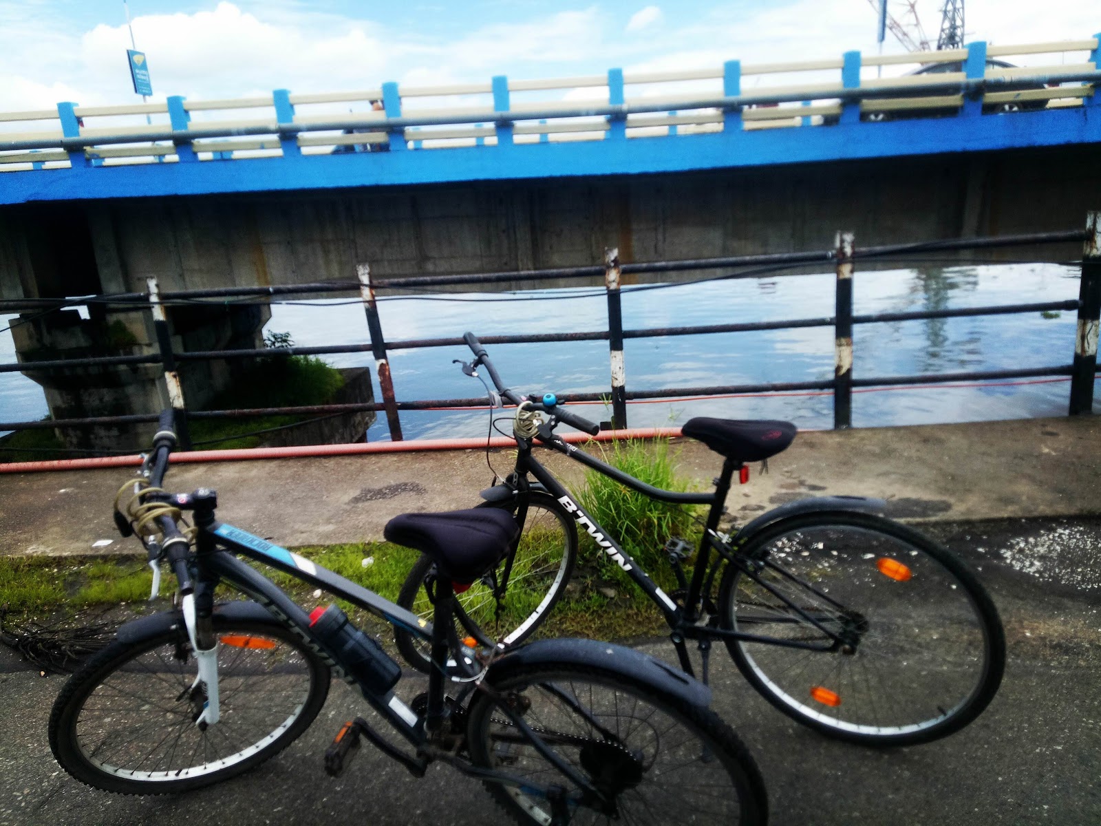 Venduruthy Island Walk