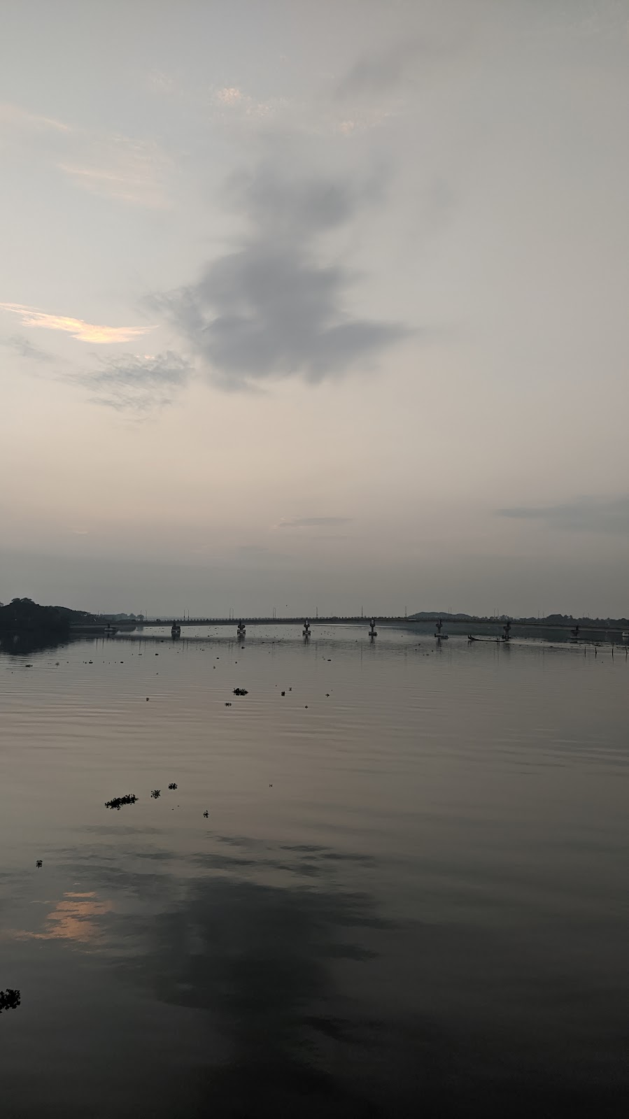 Venduruthy Island Walk