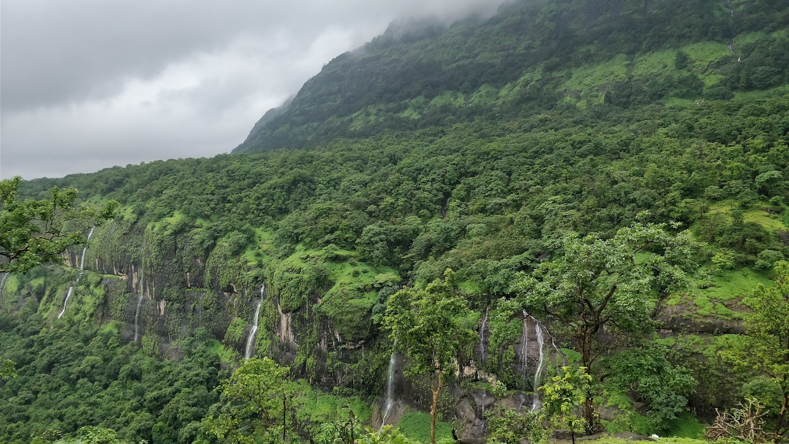 Bhimashankar Wildlife Sanctuary
