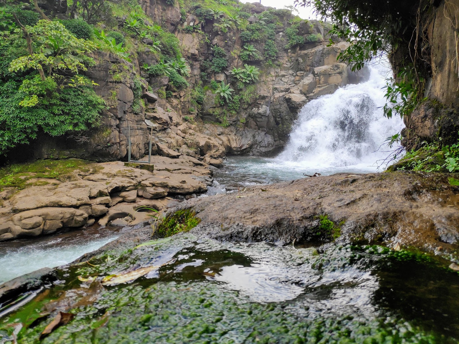 Bhimashankar Wildlife Sanctuary