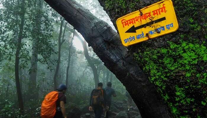 Bhimashankar Wildlife Sanctuary