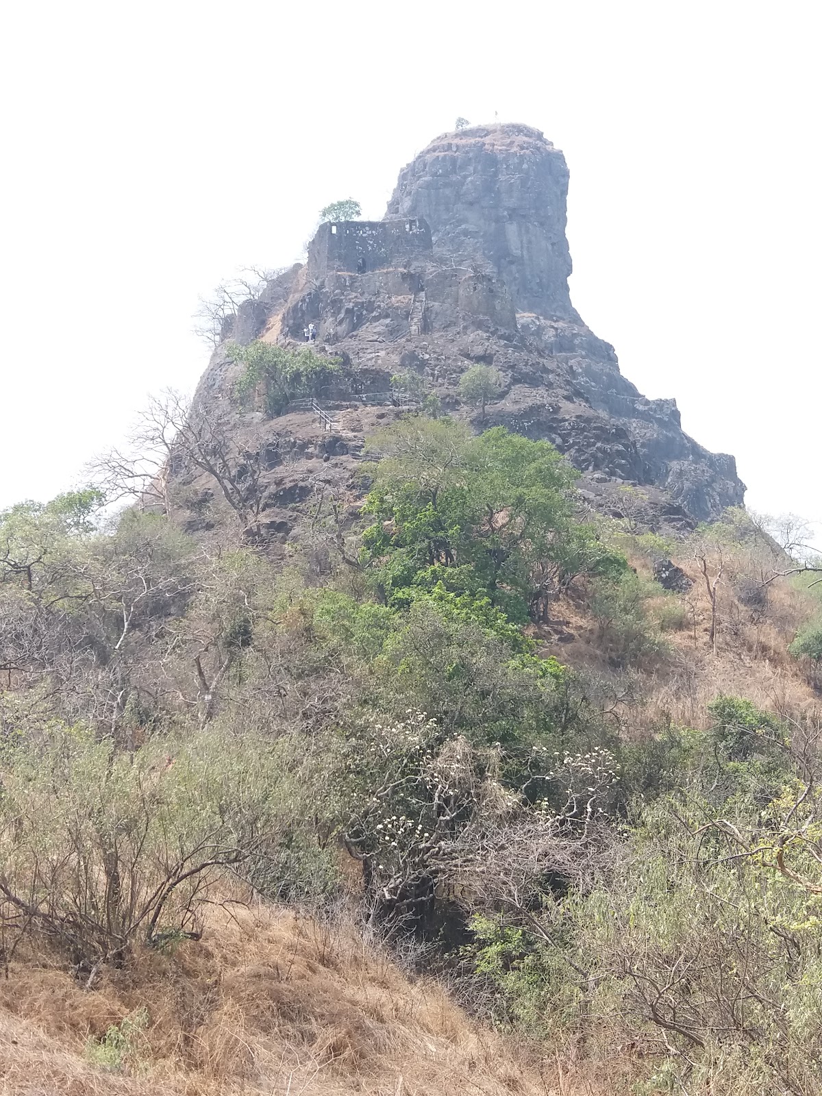 Karnala Bird Sanctuary