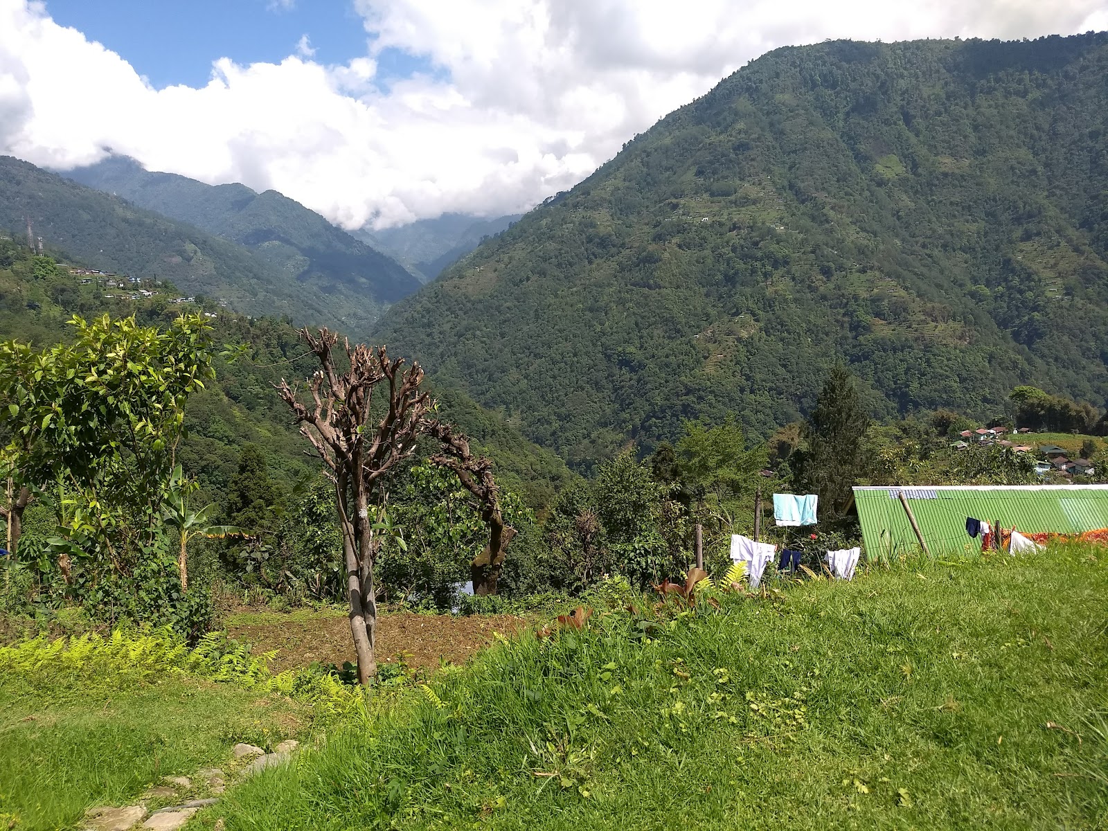 Pemayangtse Monastery