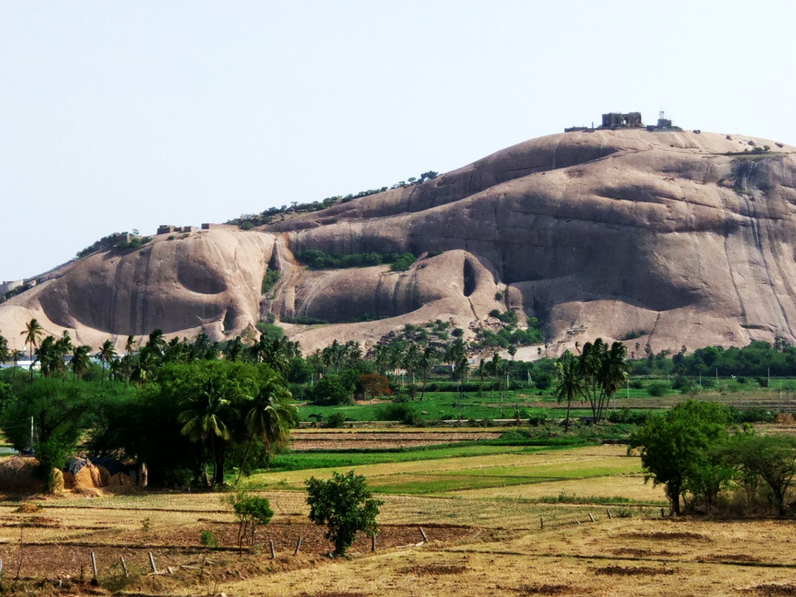 Bhuvanagiri Fort