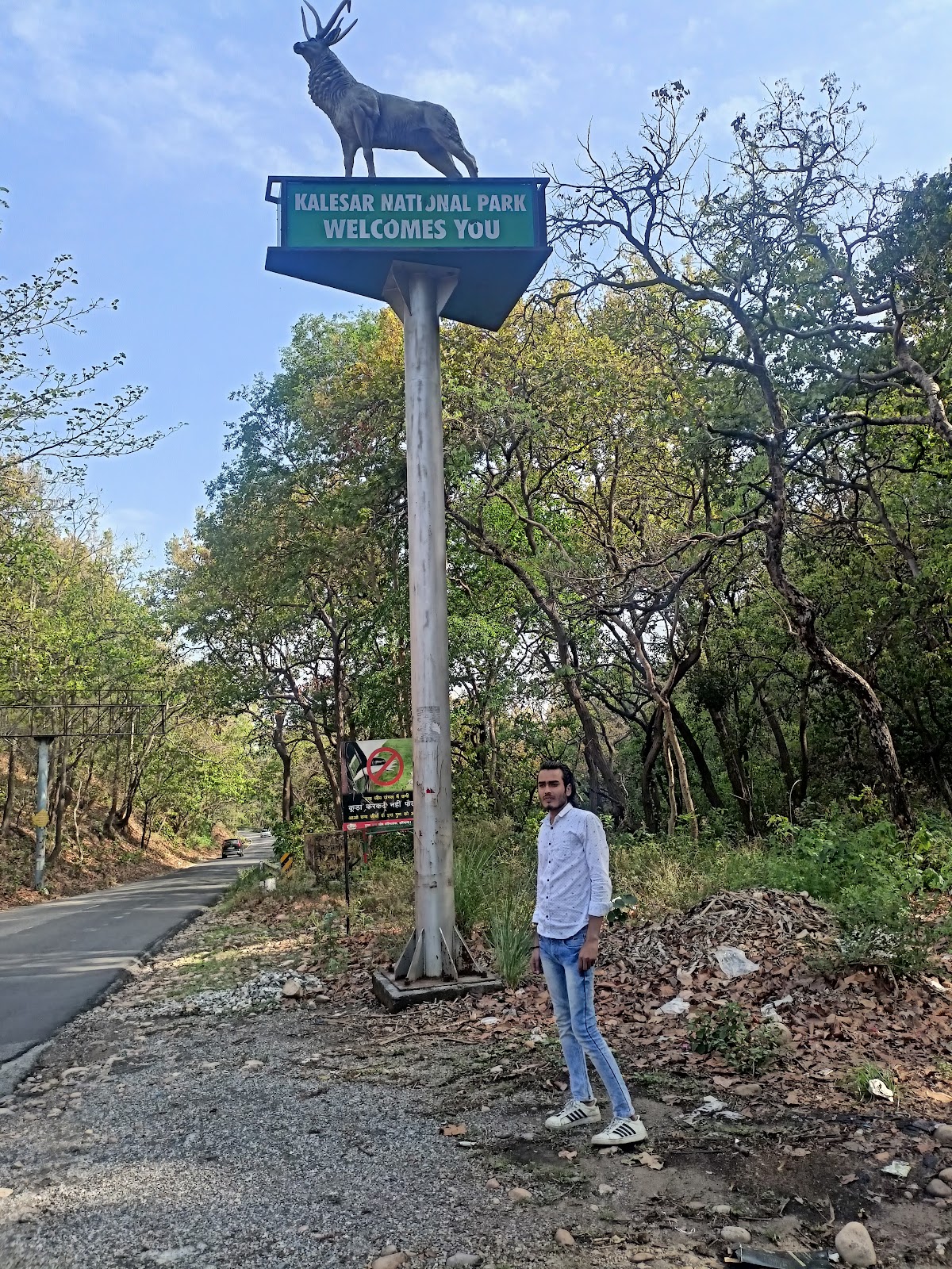 Kalesar National Park