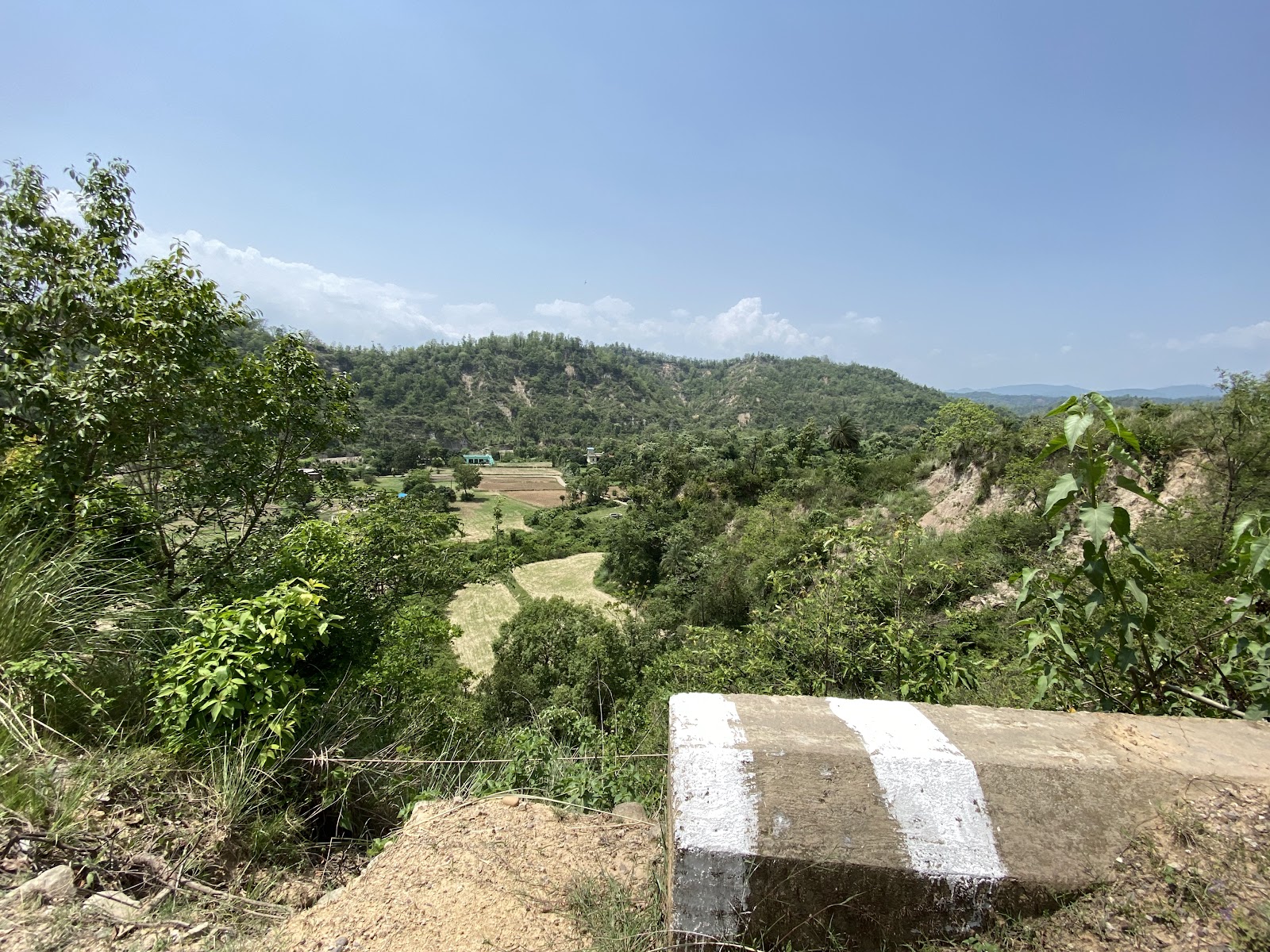 Kalesar National Park