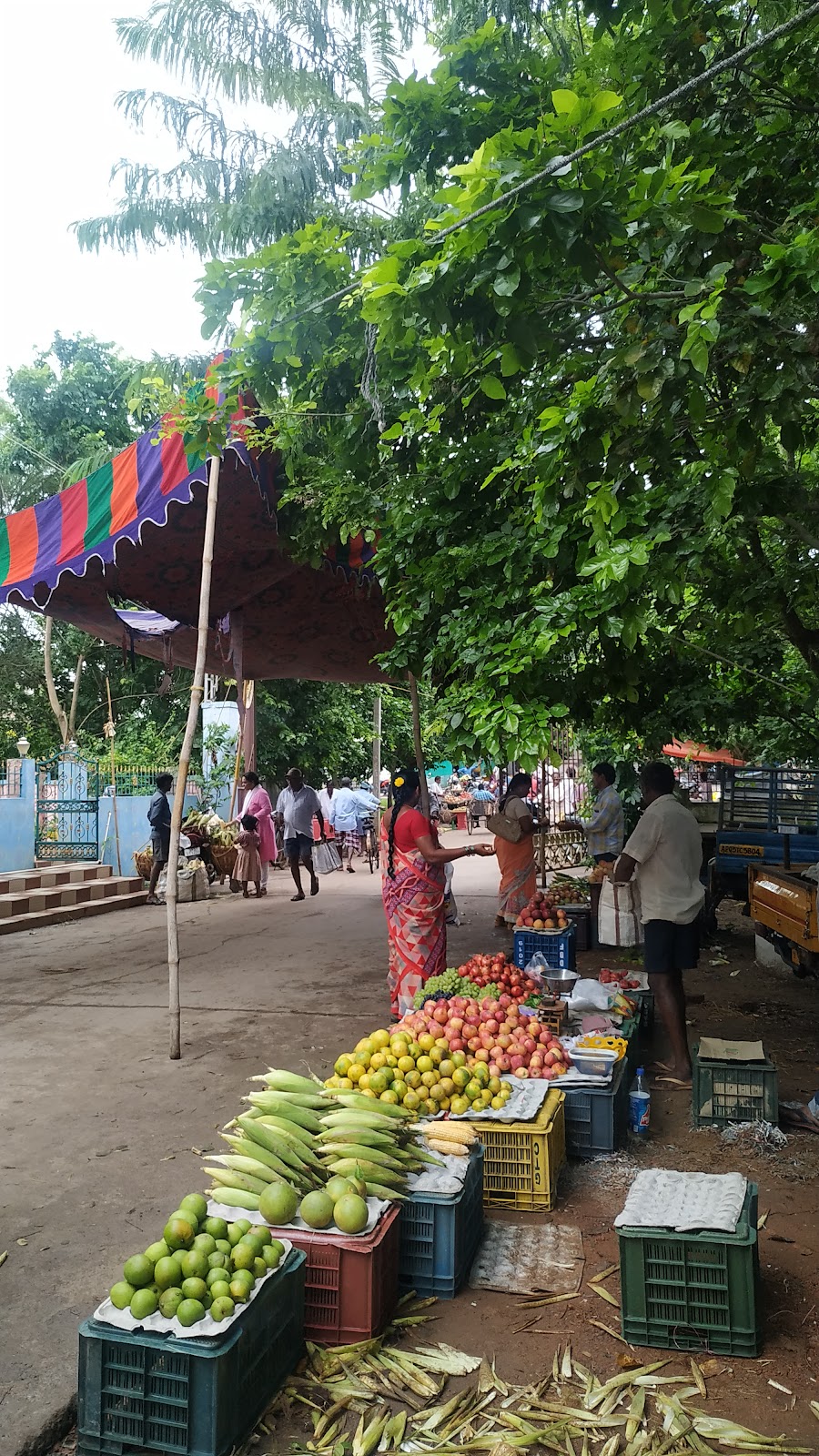 Local Markets