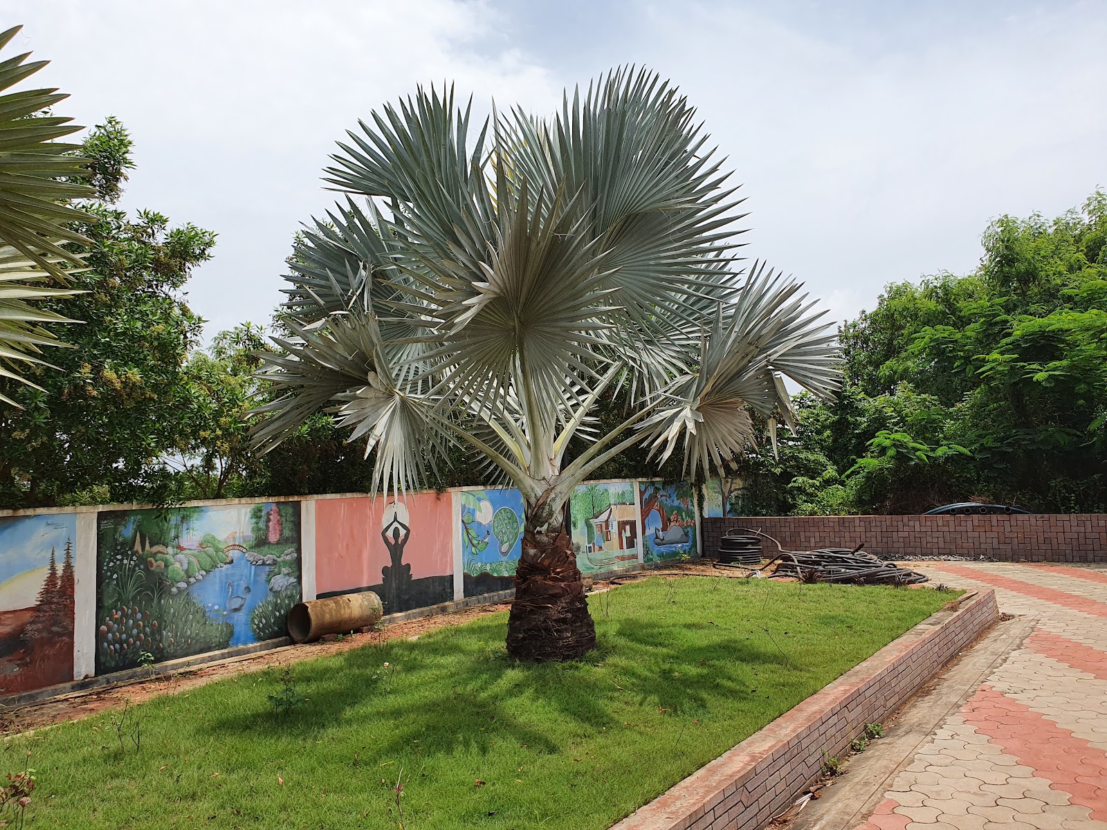 Yanam Museum