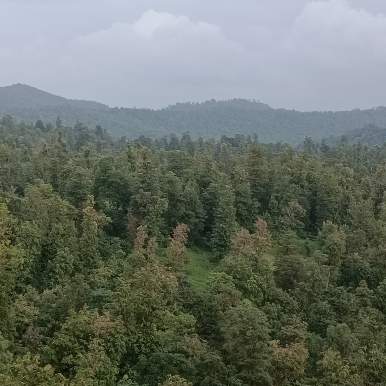 Purna Wildlife Sanctuary