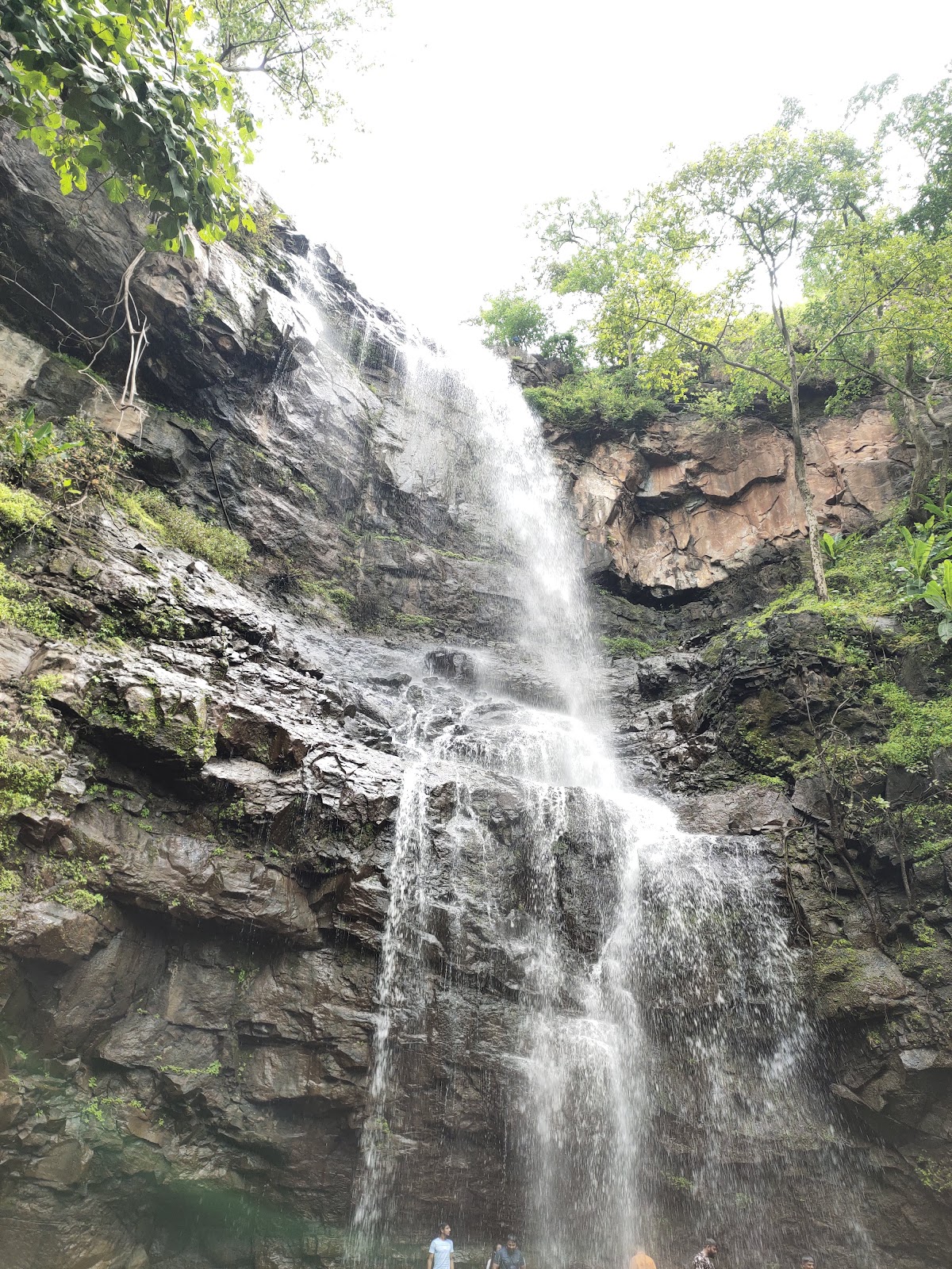 Purna Wildlife Sanctuary