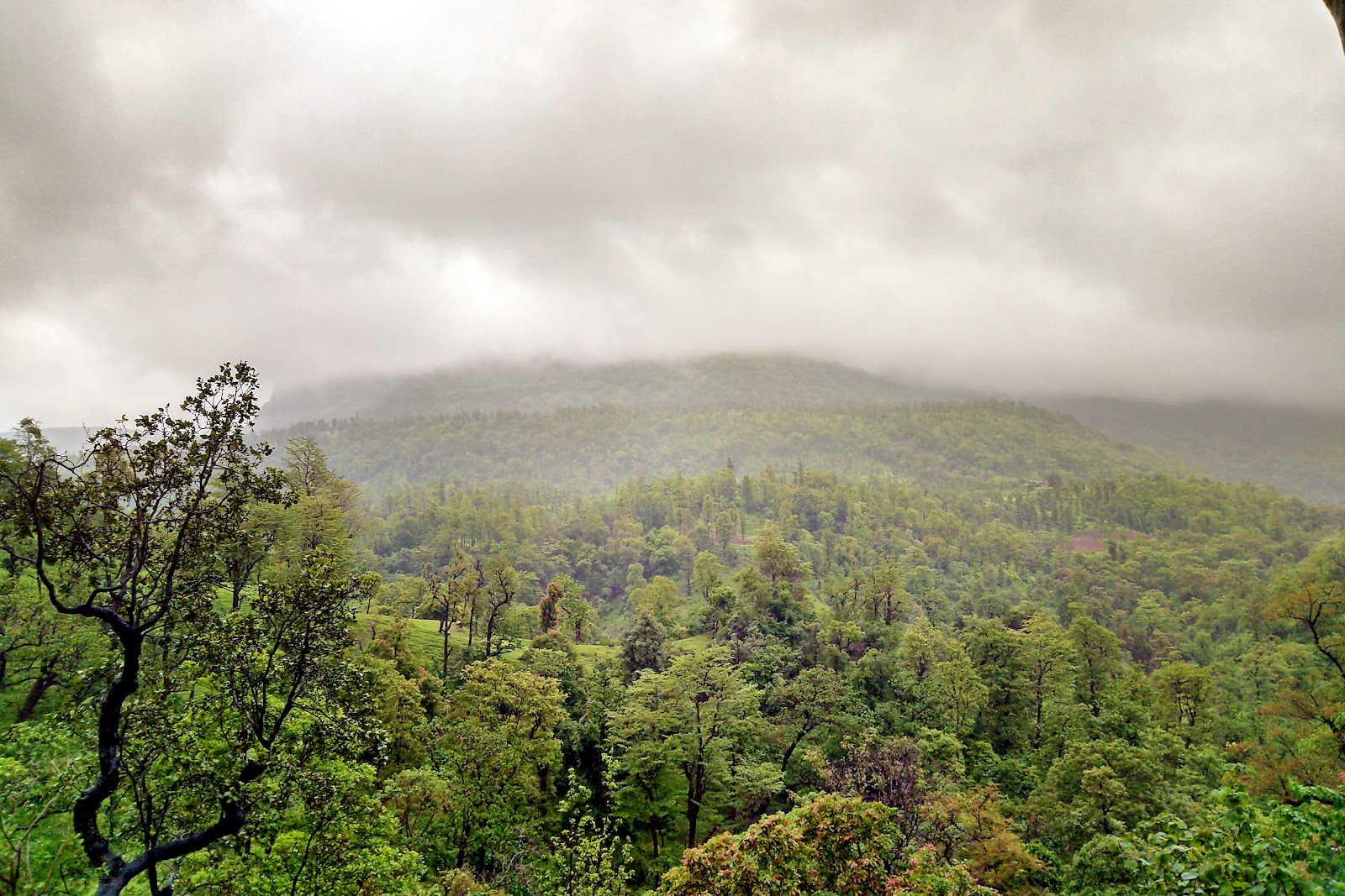 Purna Wildlife Sanctuary