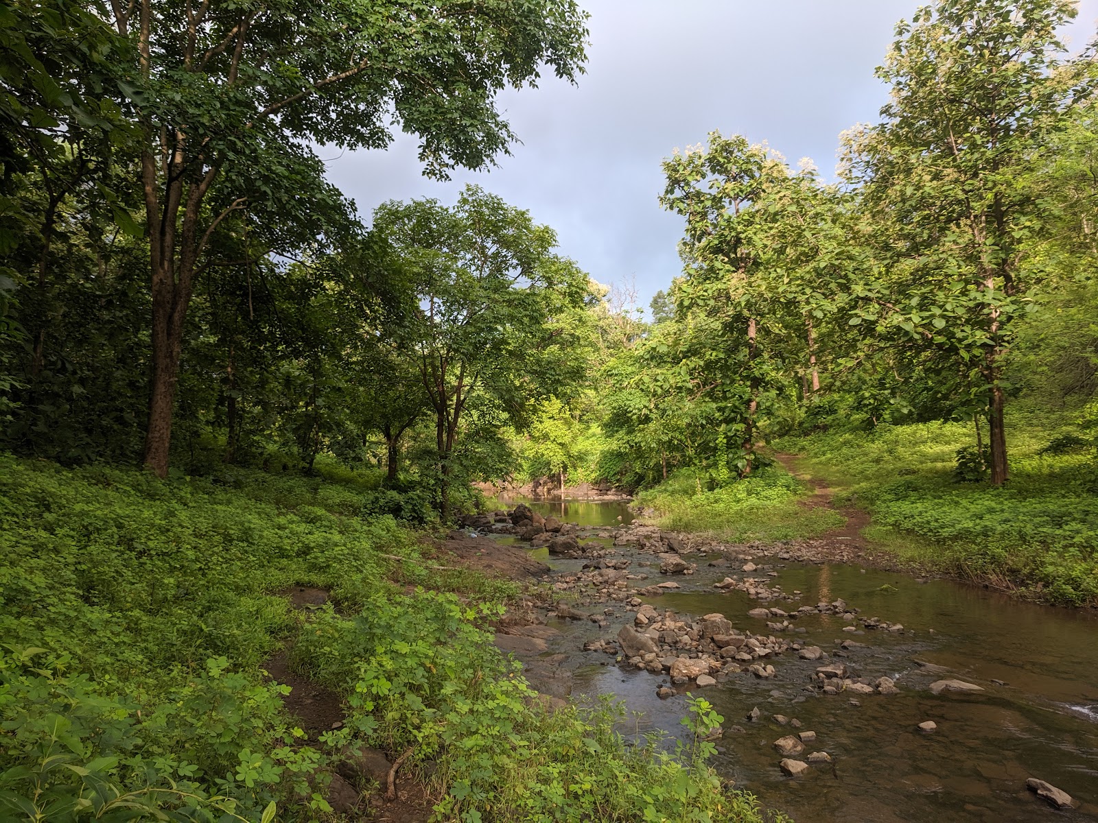 Purna Wildlife Sanctuary