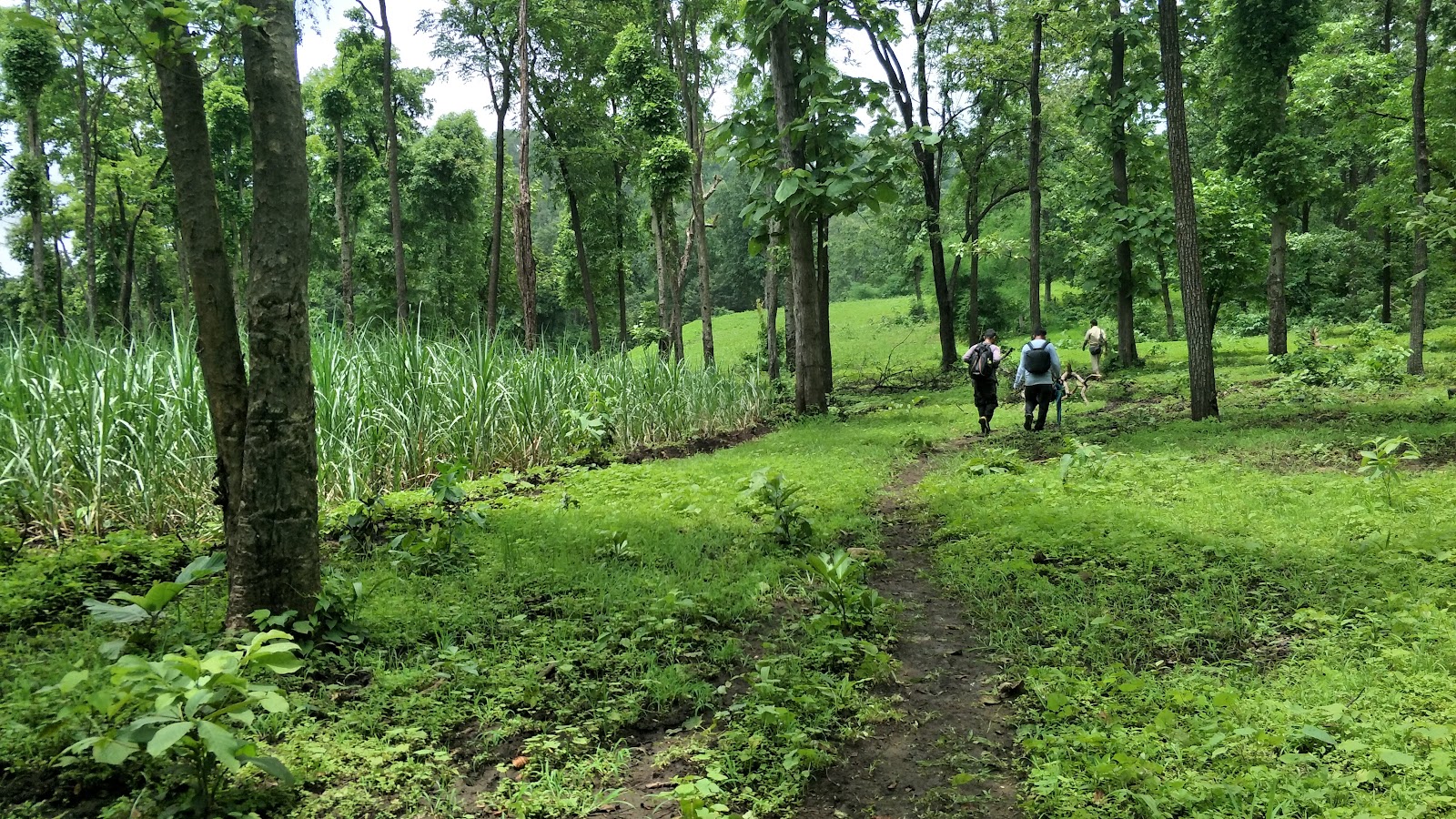 Purna Wildlife Sanctuary