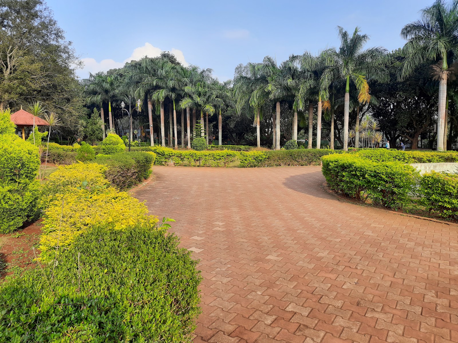 Government Herbal Farm