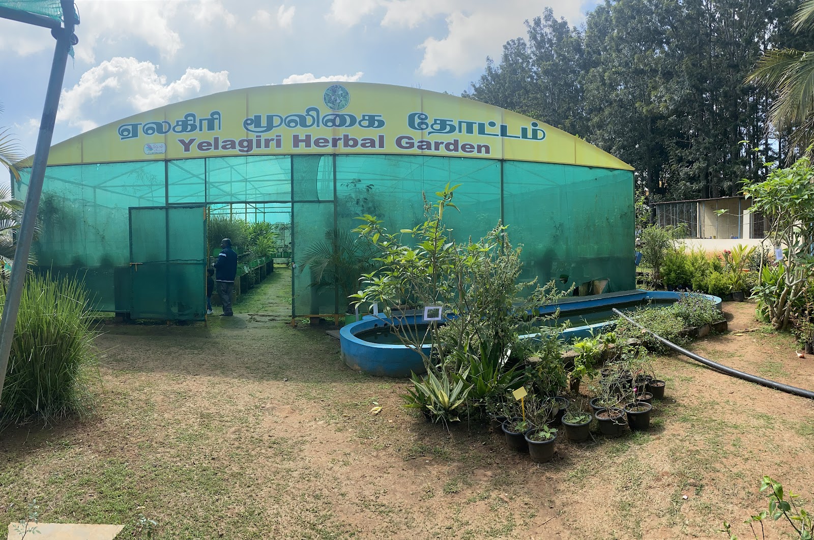 Government Herbal Farm