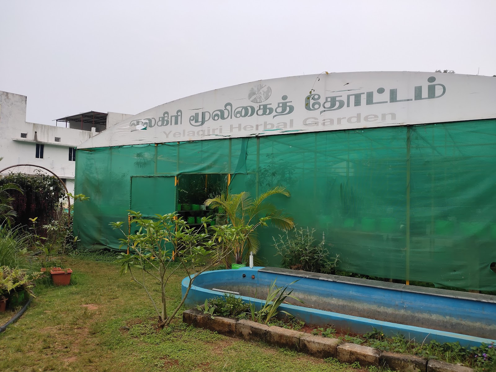 Government Herbal Farm