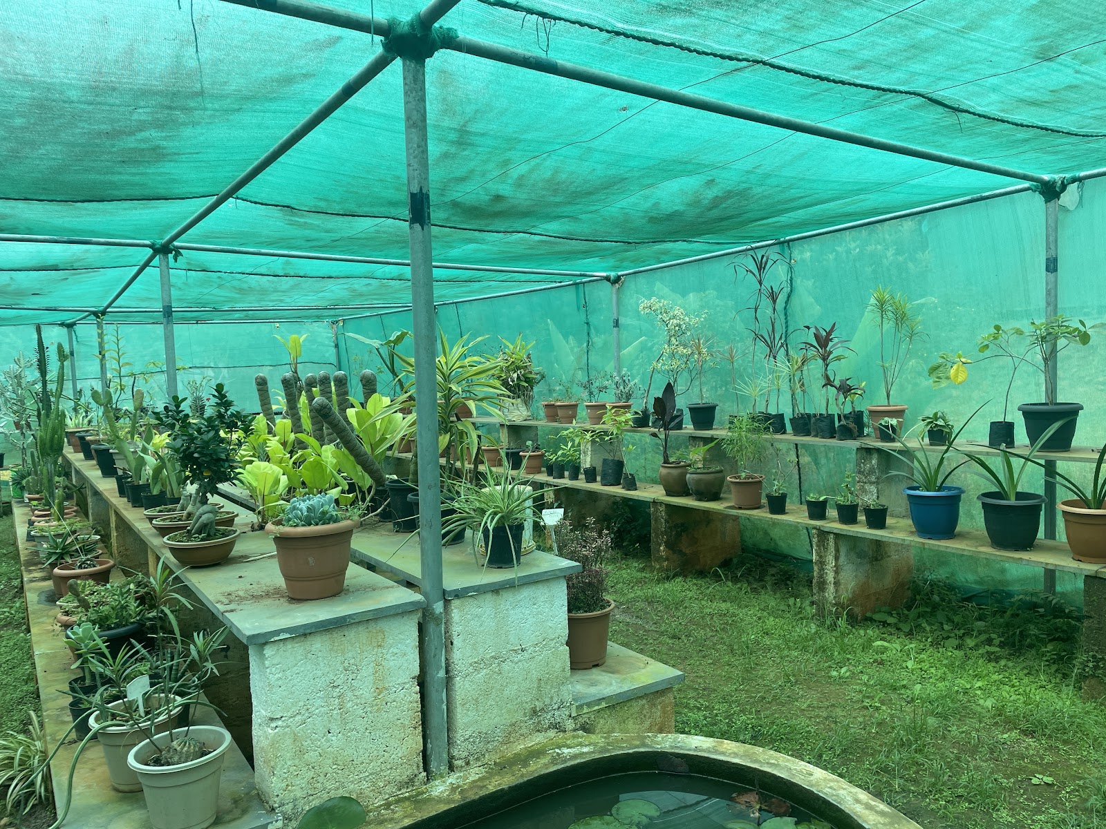 Government Herbal Farm