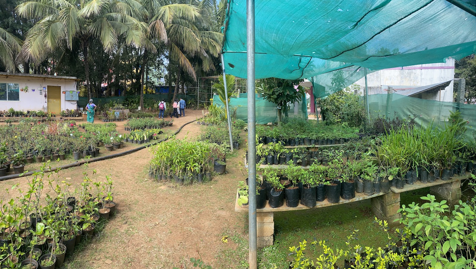 Government Herbal Farm