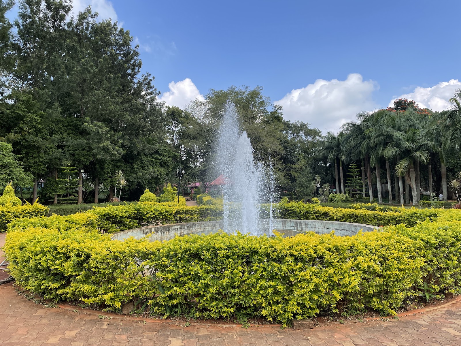 Yelagiri - A Serene Hill Station in Tamil Nadu