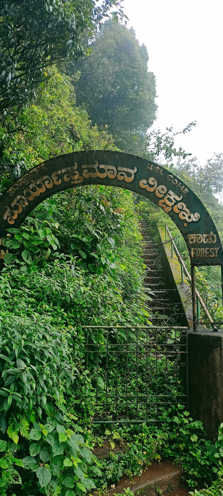 Agumbe