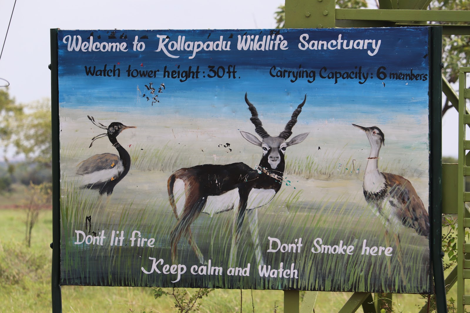 Rollapadu Wildlife Sanctuary