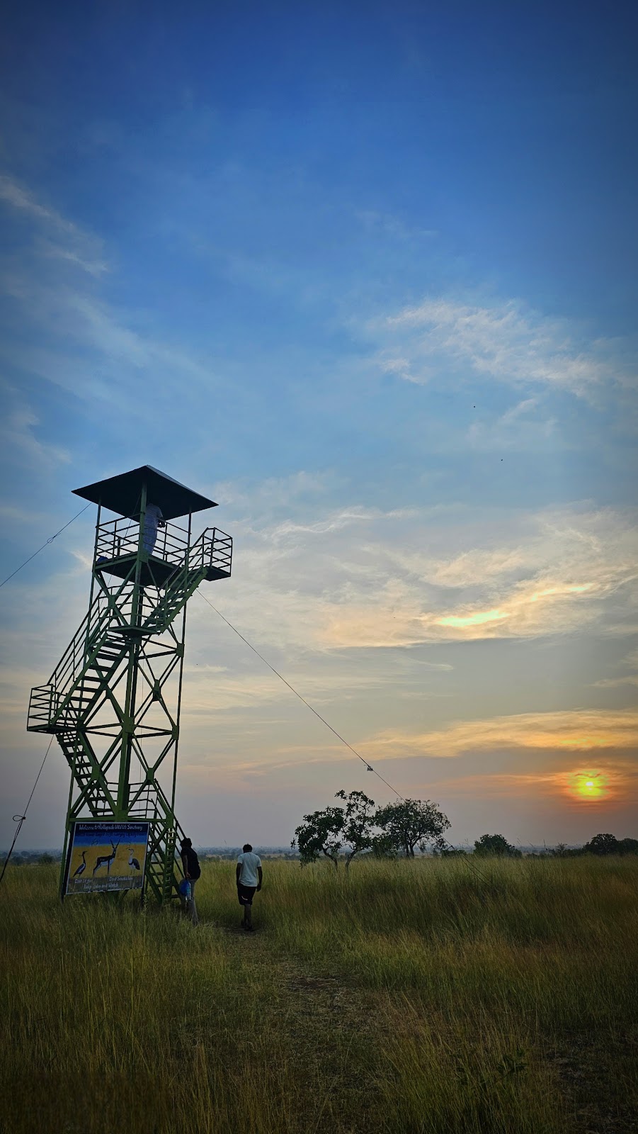 Rollapadu Wildlife Sanctuary