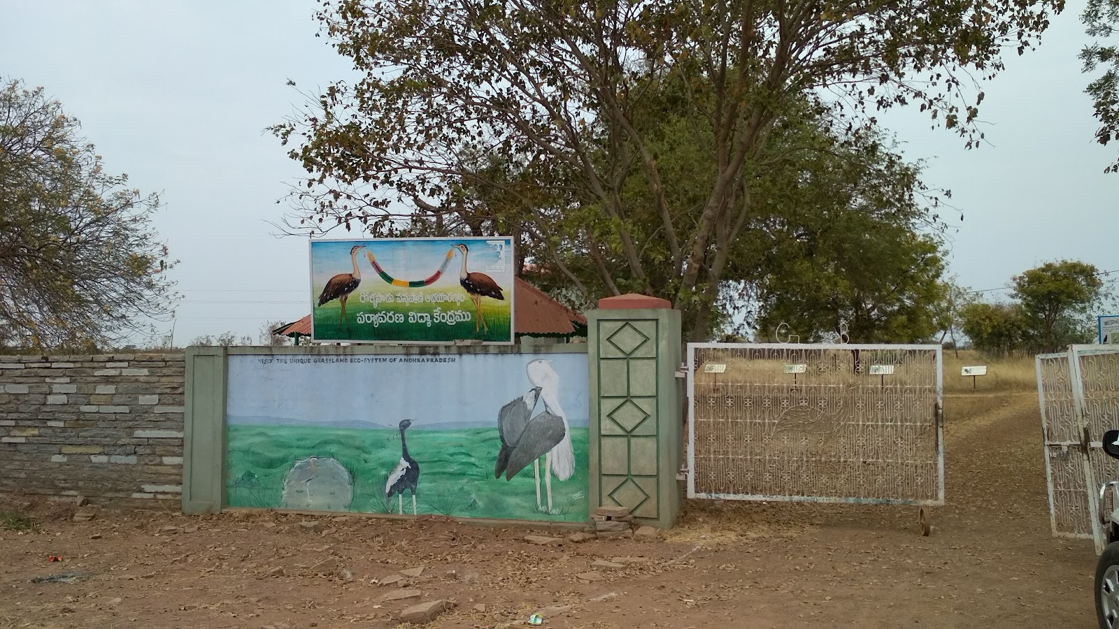 Rollapadu Wildlife Sanctuary