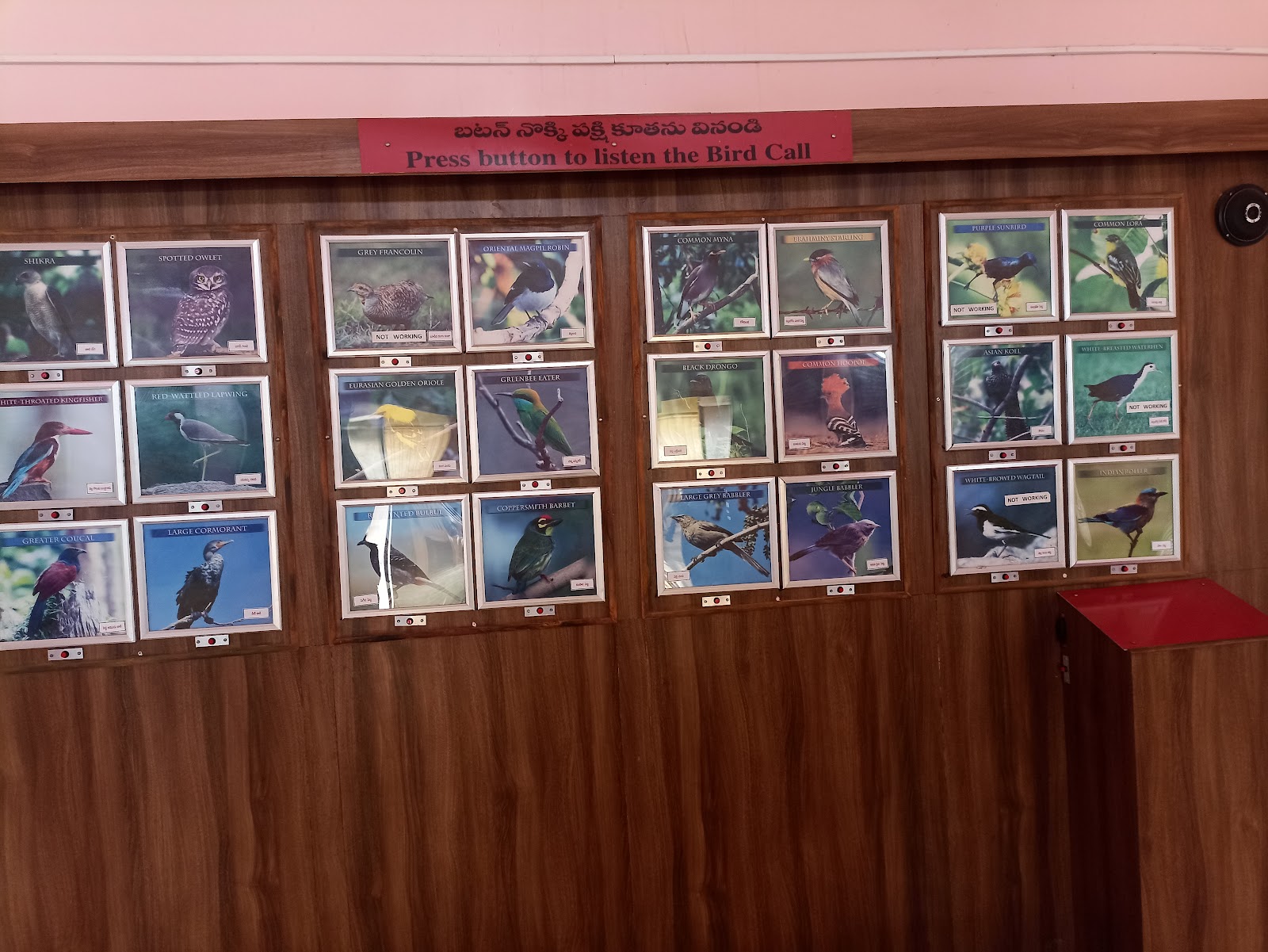 Rollapadu Wildlife Sanctuary