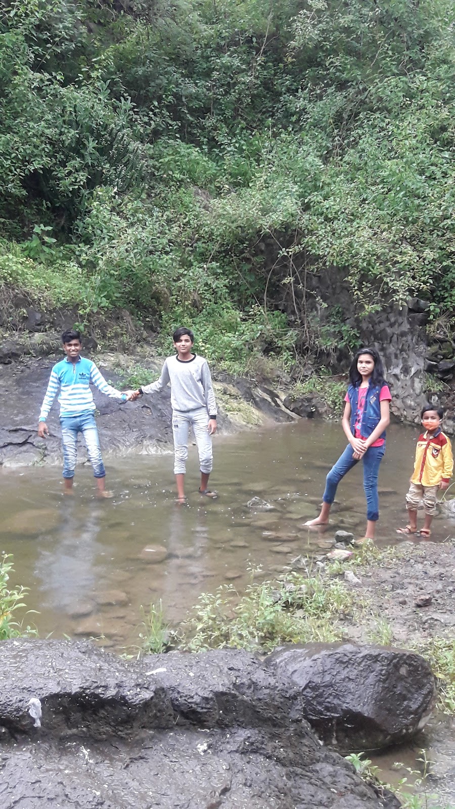 Bhadravati River Viewpoint