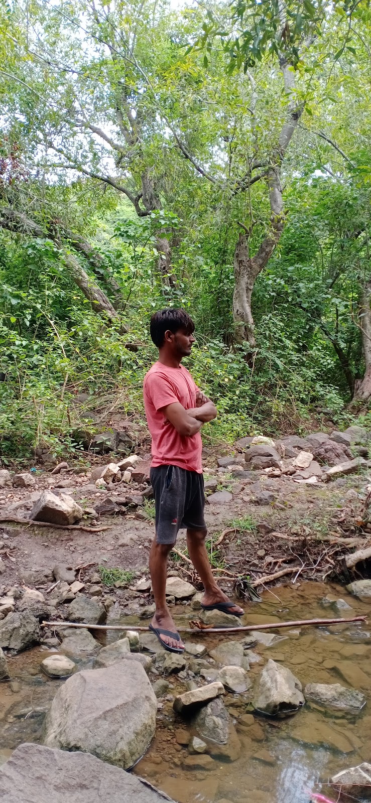 Bhadravati River Viewpoint