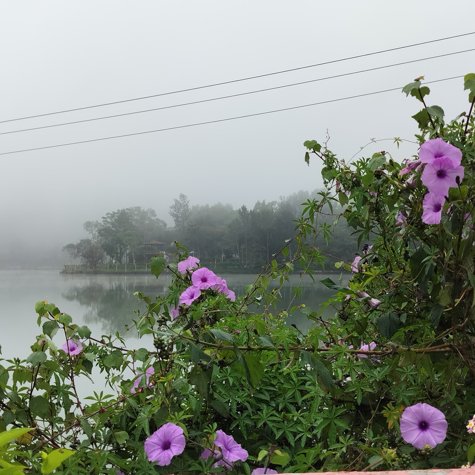 Yercaud Lake