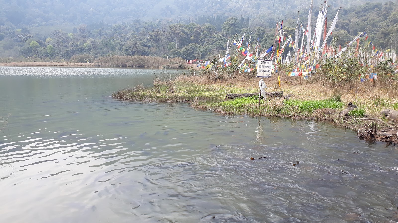 Khecheopalri Viewpoint