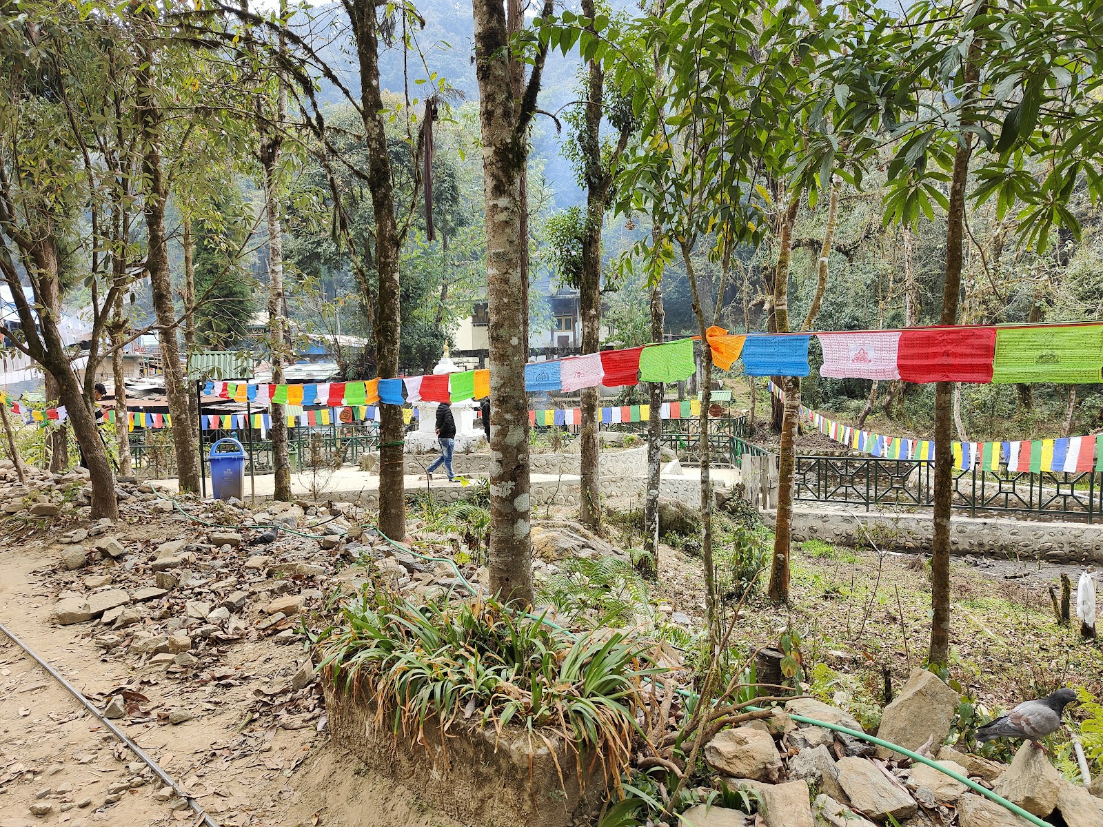 Khecheopalri Viewpoint