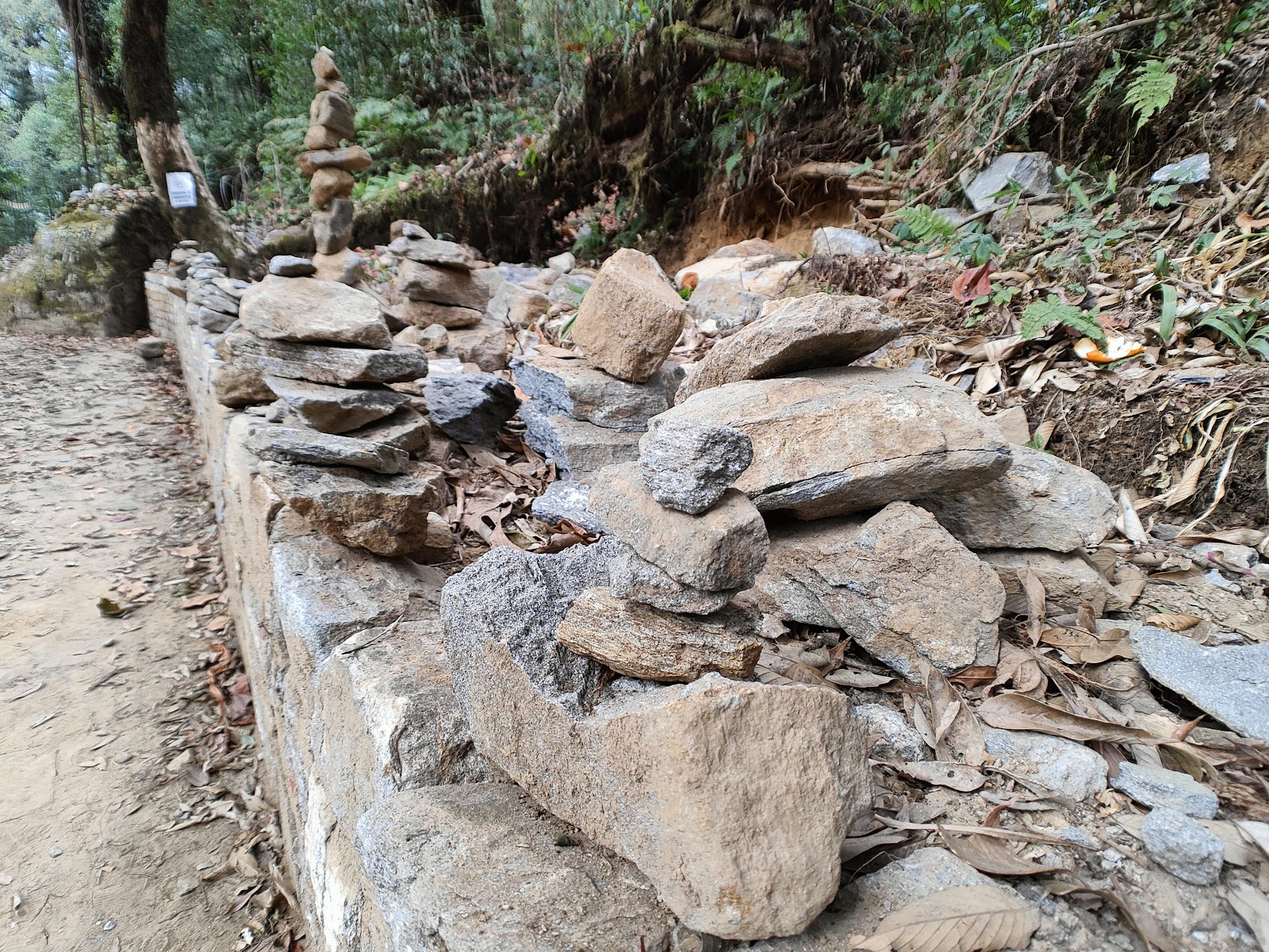 Khecheopalri Viewpoint