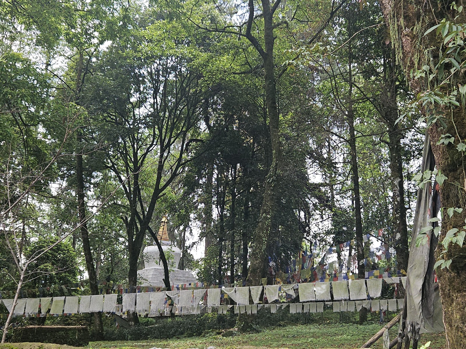 Norbugang Coronation Throne Park