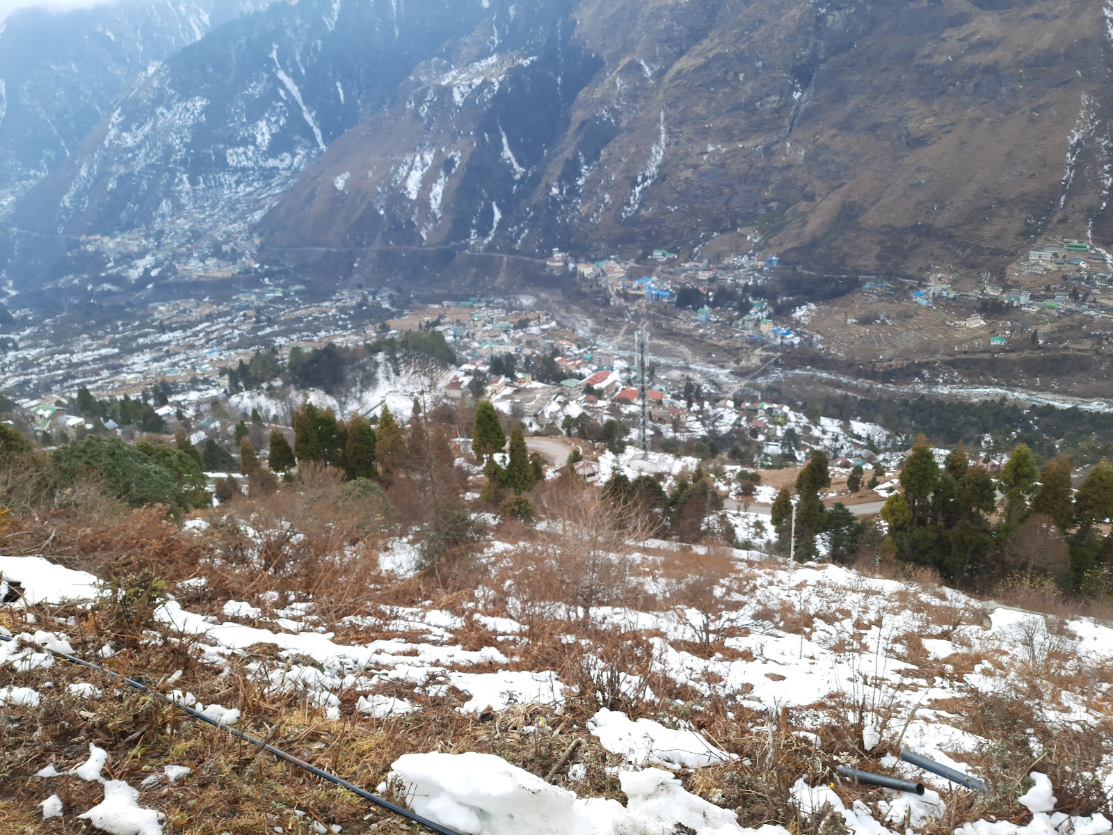 Yumthang Valley
