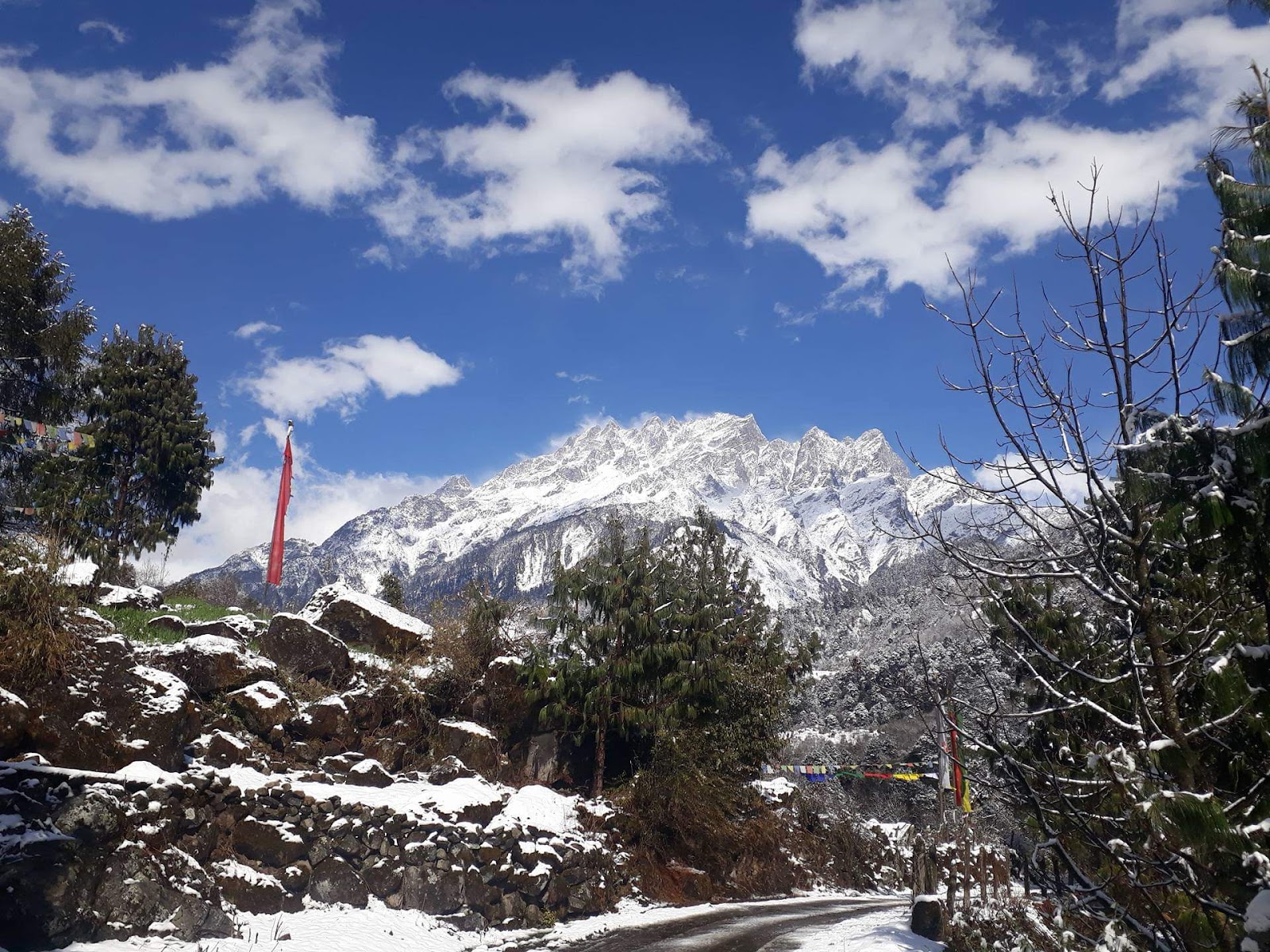 Yumthang Valley