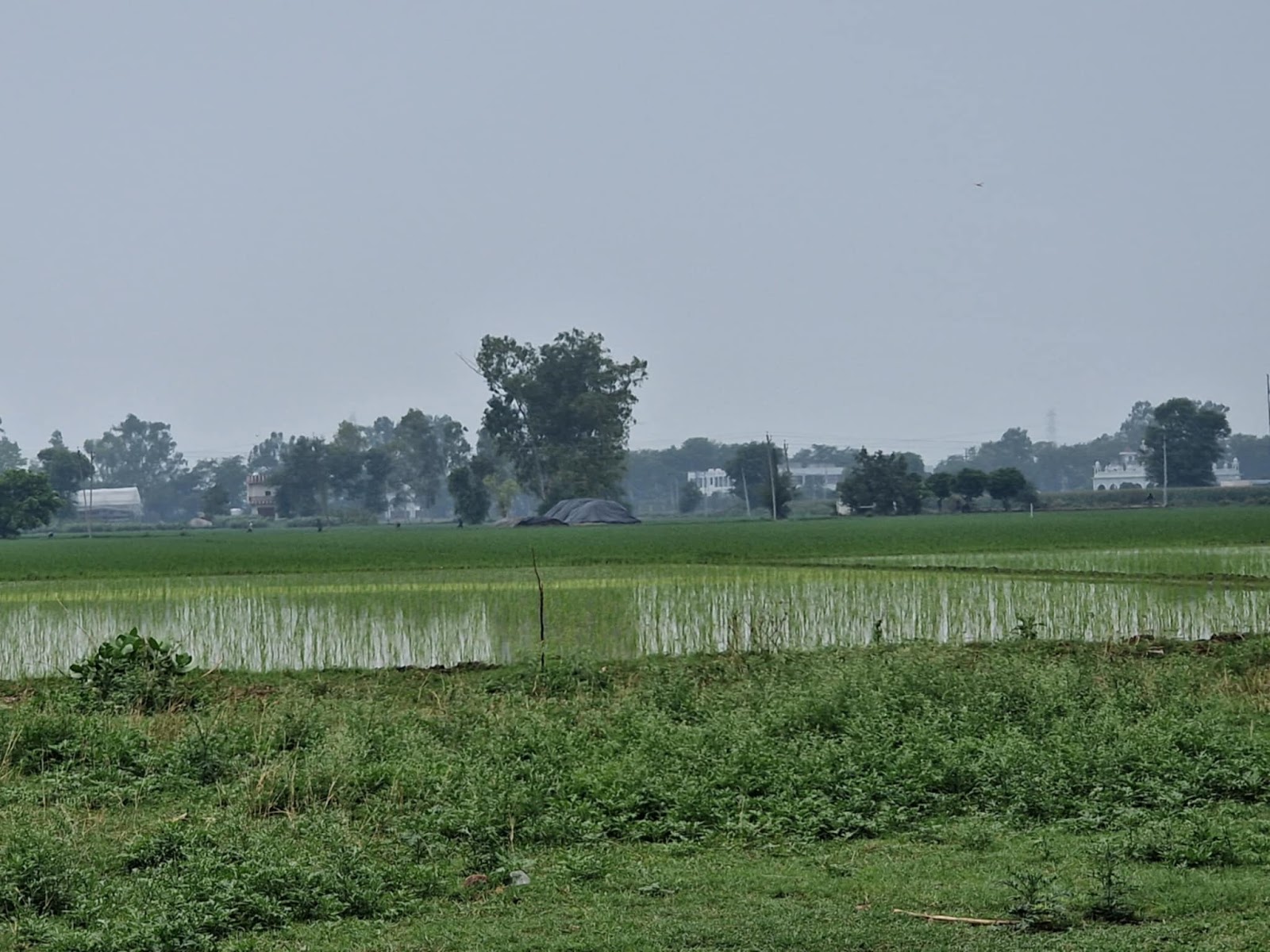 Historical Village Tour