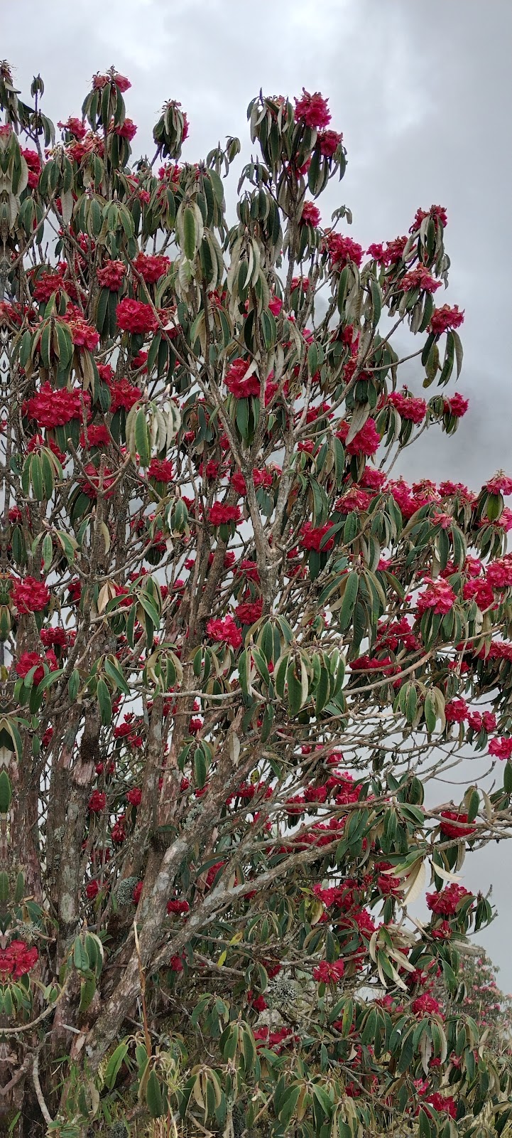 Sunrise Ridge Photography Spot